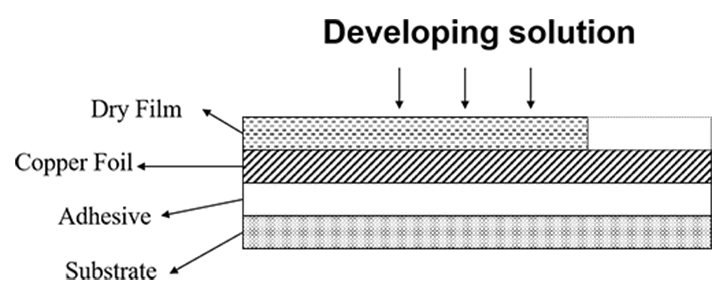Schematic diagram of Developing